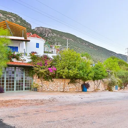Yesil * Kaş